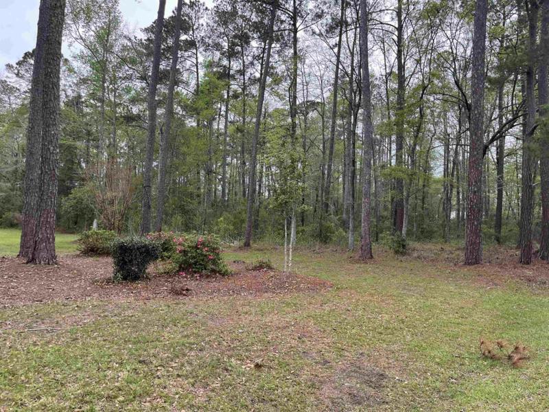 LOT 5 S PERSIMMON FORD RD. Johnsonville, SC 29555 Land For Sale  MLS# 2306003