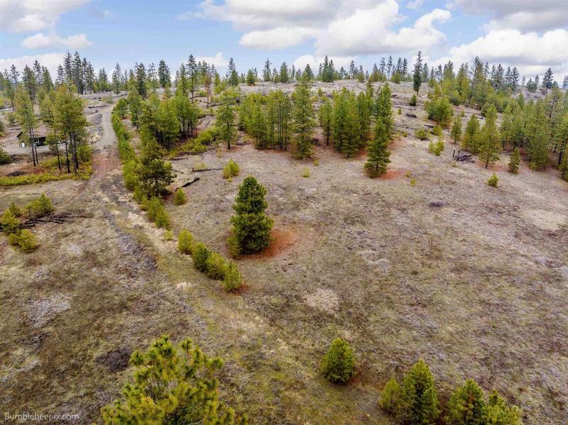 31008 E Meadow, Davenport, WA 99122  623751062 for Sale