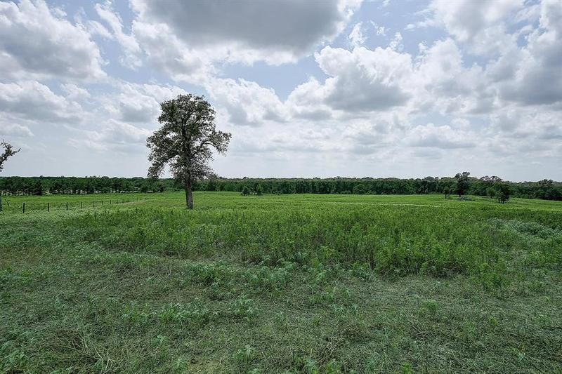 T-12 An County Road 466, Palestine, TX 75803 for Sale