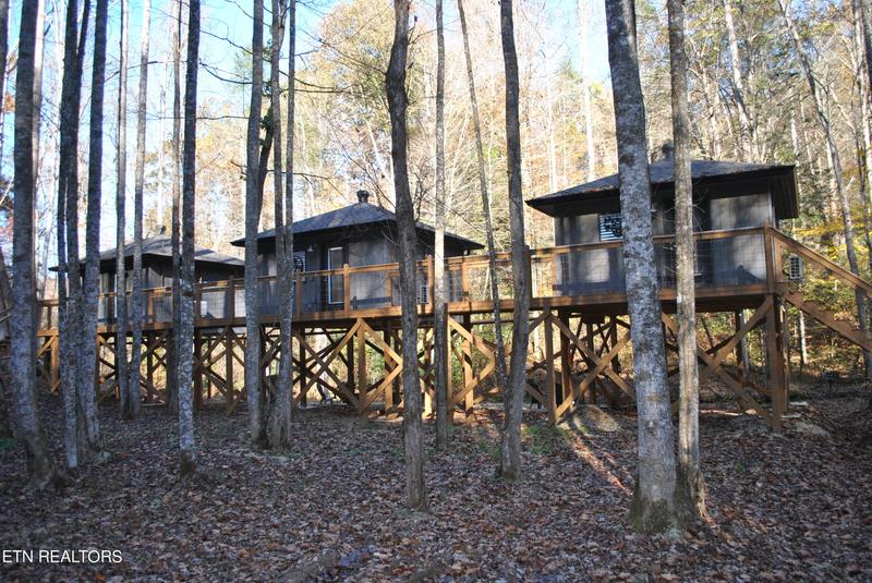 750 Caney Creek Road, Cosby, TN 37722 for Sale