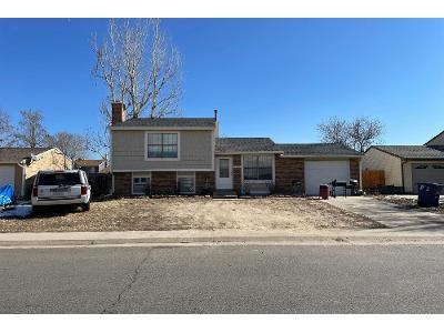 Dillon St for Sale