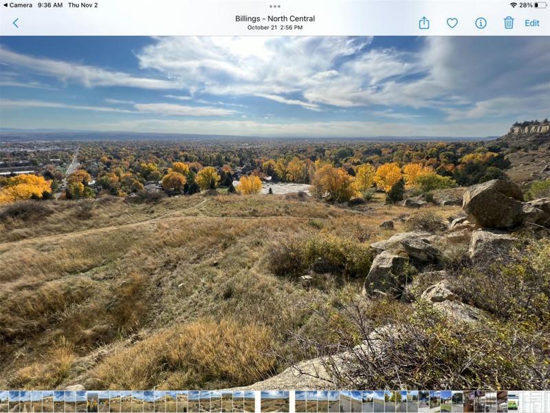 LOT 29 JULIANNE DRIVE, Billings, MT 59102 Single Family Residence For Sale  MLS# 30016446