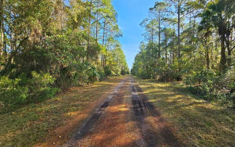 124 Helen Ave, Georgetown, FL 32139  MLS# 121981 for Sale