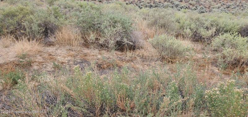 La Plata, San Juan County, NM Undeveloped Land, Homesites for sale Property ID: 418198179