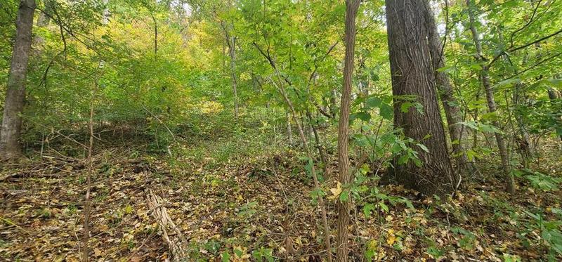 Smithville, De Kalb County, TN Homesites for sale Property ID: 418119627