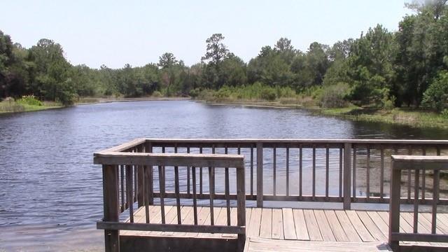26519 Falcon LN, Hempstead, TX 77445 for Sale