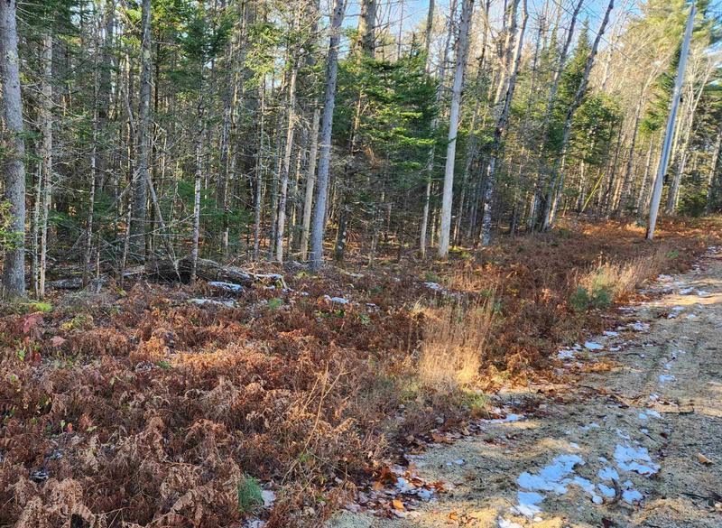 30 D Chase Road, Sandwich, NH 03259 for Sale