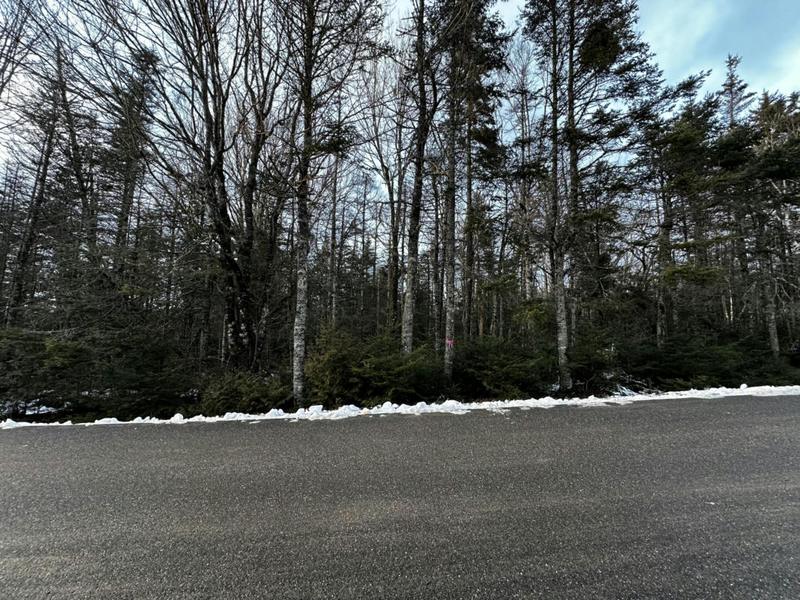 94 YOHO HEAD RD, Machiasport, ME 04655 Land For Sale  MLS# 1581133