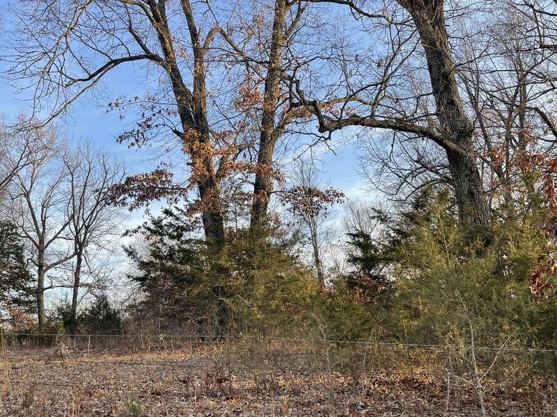E Crawford Road, Harrison, AR 72601  623639735 for Sale
