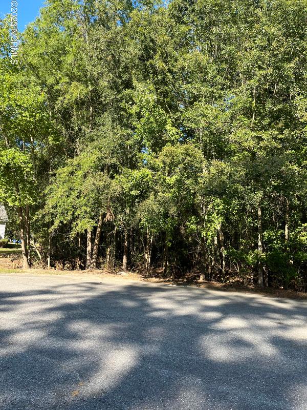 105 Old Jamestown Road, Kinston, NC 28504 for Sale