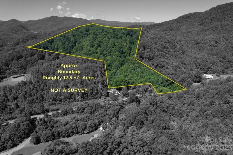 999 Dills Cove Road, Sylva, NC 28779 for Sale