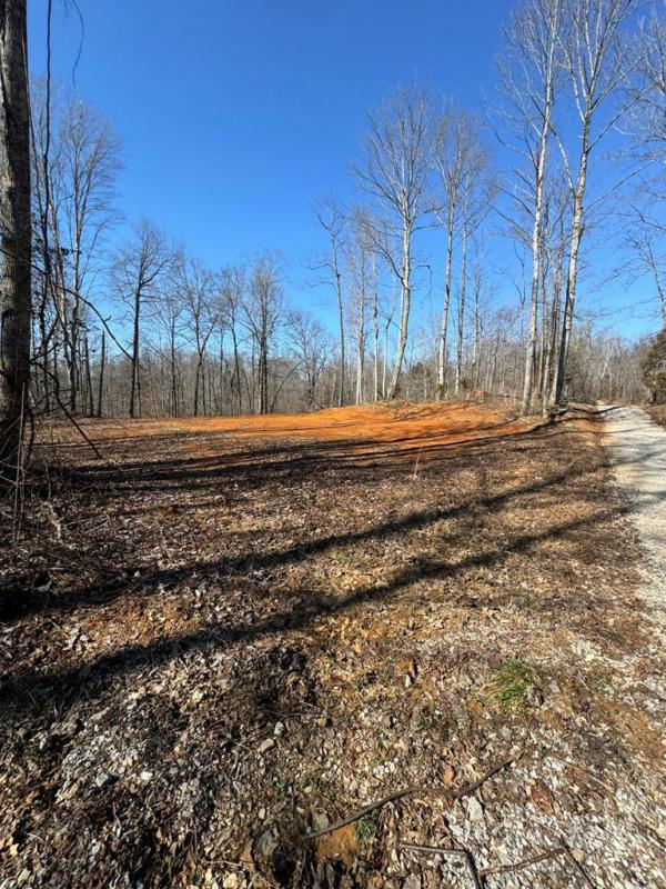 TRACT 13 MALONE RIDGE RD, Albany, KY 42602 Land For Sale  MLS# 225427