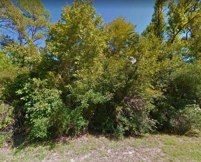 715 Charleston St, Trinity, TX 75862 for Sale