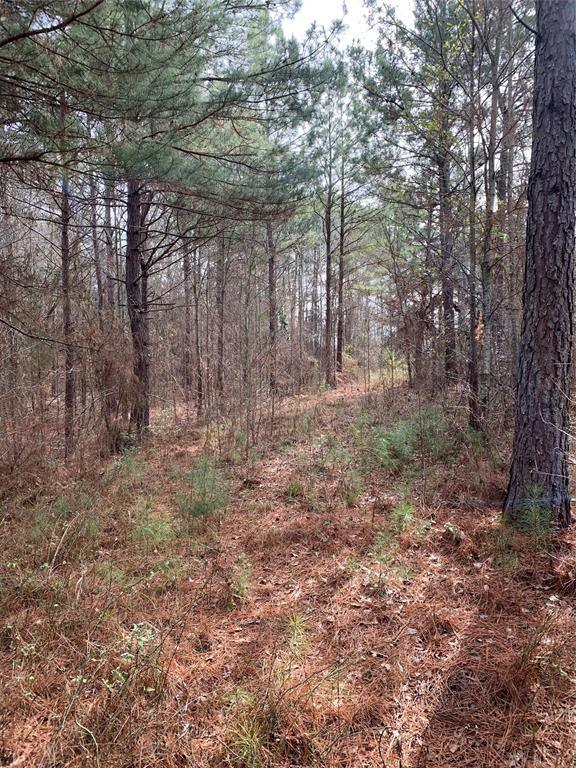 00 Fm 2138 Highway, Jacksonville, TX 75766 for Sale