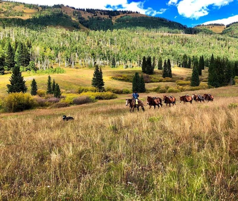 Meeker, Rio Blanco County, CO Farms and Ranches, Commercial Property, Horse Property for sale Property ID: 416975654