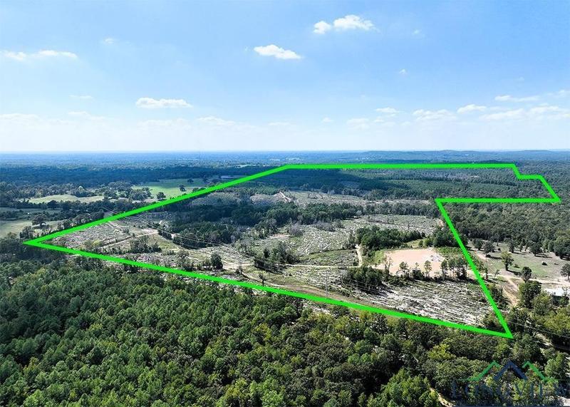 Longview, Gregg County, TX Undeveloped Land for sale Property ID: 417841218