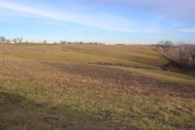 Zwingle, Jackson County, IA for sale Property ID: 418340621