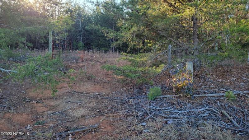 Goldston, Moore County, NC Undeveloped Land for sale Property ID: 418477654