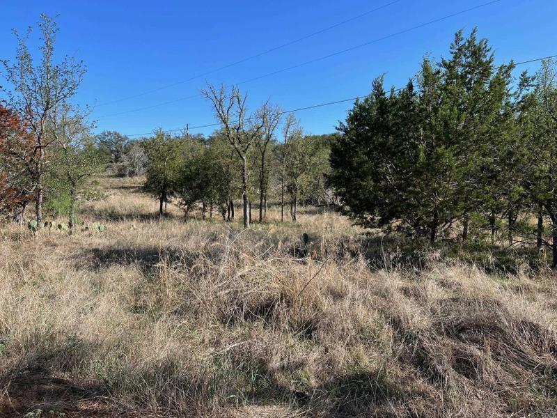 Burnet, Burnet County, TX Undeveloped Land, Homesites for sale Property ID: 418568970