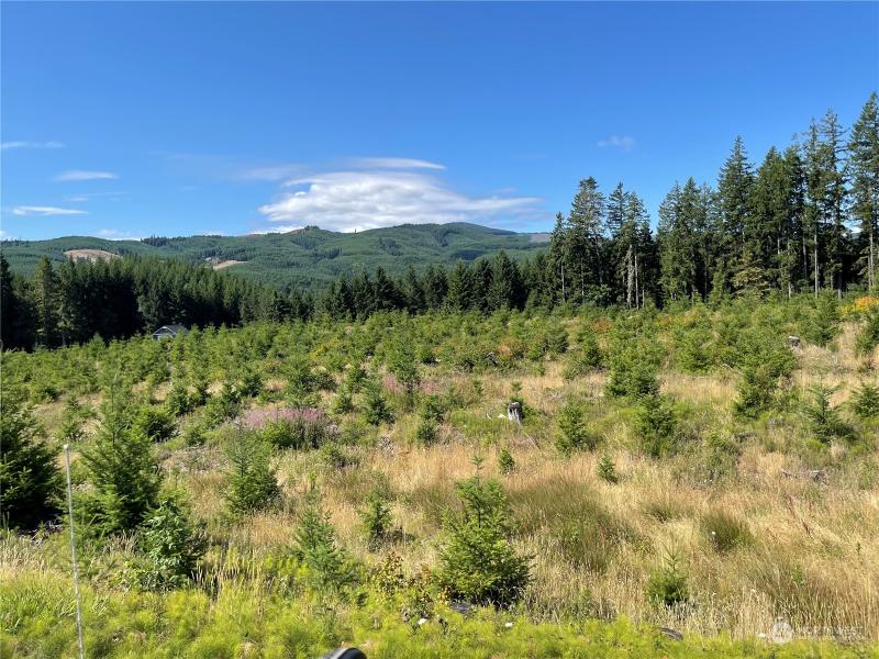 0 Pe Ell Mc Donald Road, Chehalis, WA 98532 for Sale