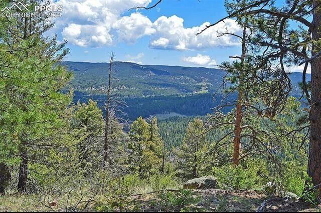 Woodland Park, Teller County, CO Undeveloped Land for sale Property ID: 418737630