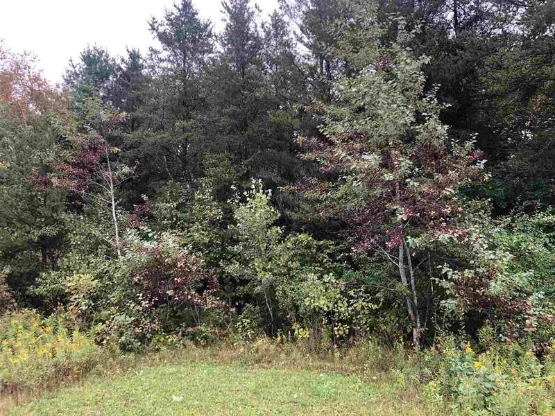 Beaverton, Gladwin County, MI Undeveloped Land, Homesites for sale Property ID: 411677154