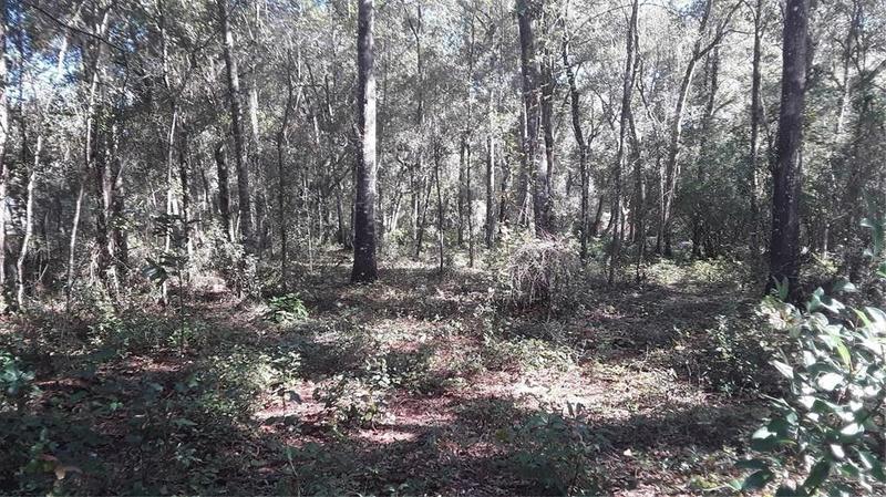 Silver Springs, Marion County, FL Undeveloped Land, Homesites for sale Property ID: 415794900
