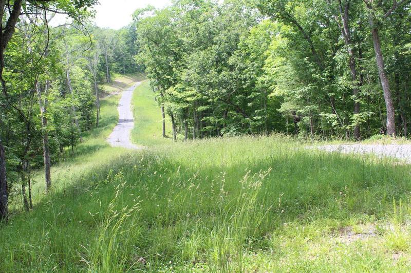 Stonehenge Pkwy, Lewisburg, WV 24901  624357779 for Sale