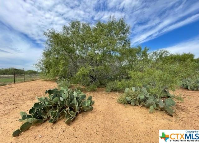 1 COUNTY ROAD 329, Jourdanton, TX 78026 Land For Sale  MLS# 531733