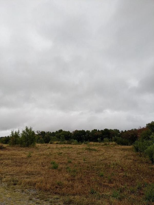 Wichita, Sedgwick County, KS Homesites for sale Property ID: 415146341