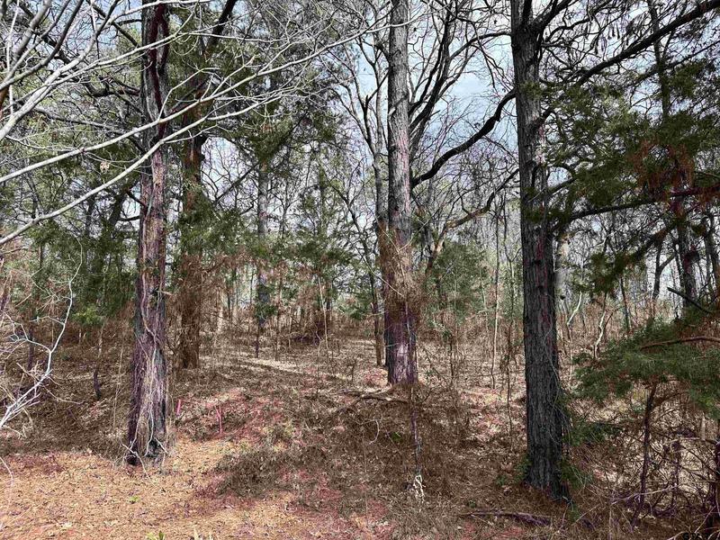 18771 Village Parkway, Flint, TX 75762 for Sale
