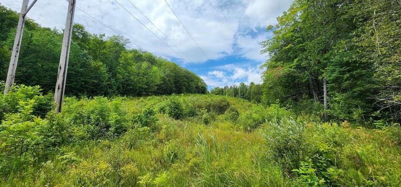 G Riddel Pond Road, Orange, VT 05641  622320407 for Sale