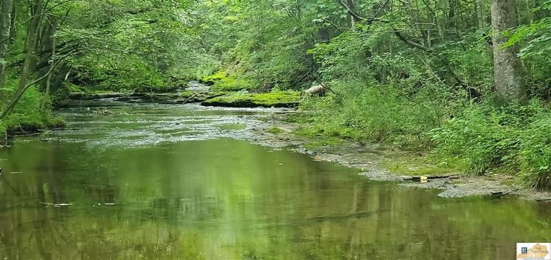 Russell Springs, Russell County, KY Undeveloped Land, Homesites for sale Property ID: 417871886