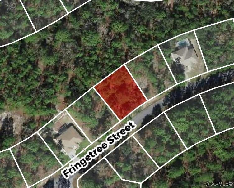 32 FRINGETREE ST, Homosassa, FL 34446 Single Family Residence For Sale  MLS# 830564 for Rent