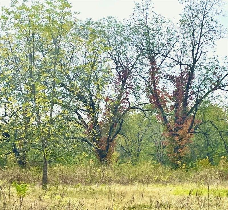 Fort Towson, Choctaw County, OK Undeveloped Land for sale Property ID: 418537939