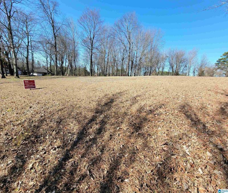 Fultondale, Jefferson County, AL Undeveloped Land, Homesites for sale Property ID: 418779605