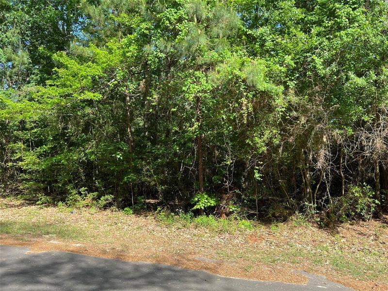 30 Hawk Lane, Trinity, TX 75862 for Sale