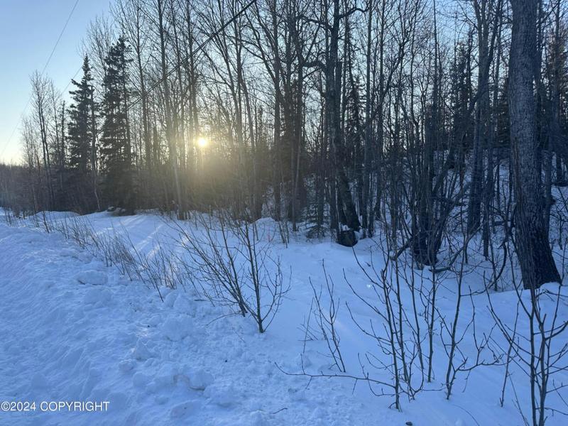 2300 N NORTHWAY LN, Wasilla, AK 99645 Land For Sale  MLS# 24-833