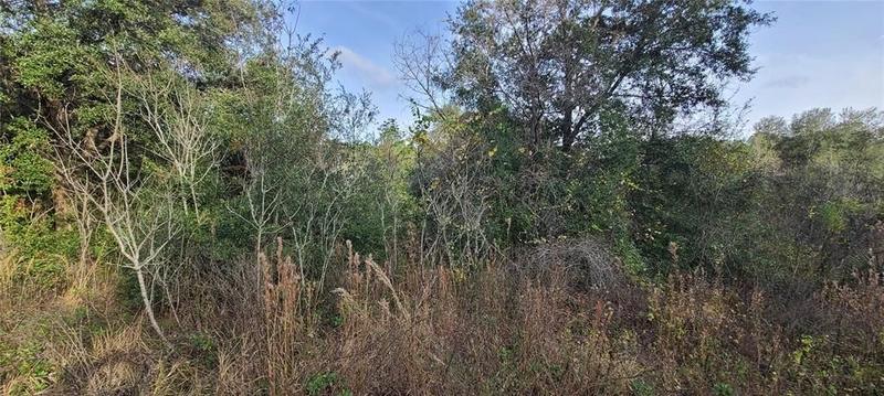 SE 252nd Ave #8, Umatilla, FL 32784  MLS# G5076728 for Sale