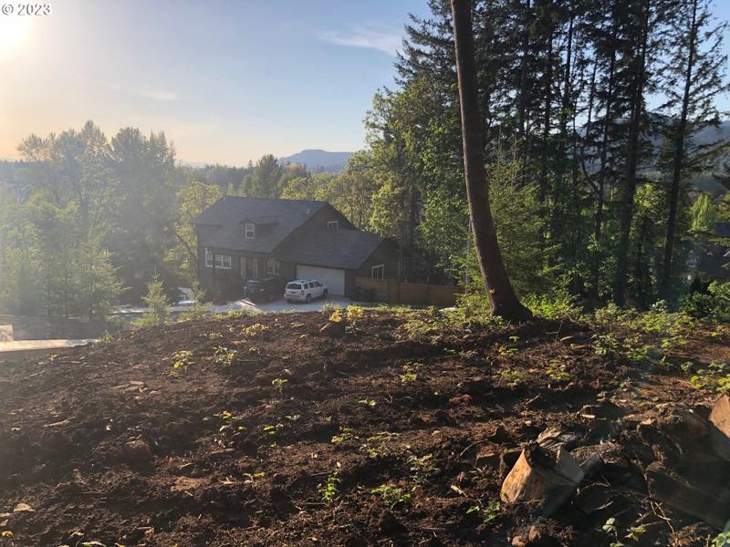 3355 River Heights Drive, Springfield, OR 97477 for Sale