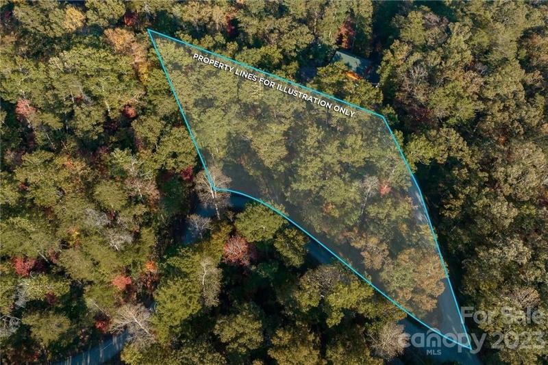 Lake Lure, Rutherford County, NC Undeveloped Land, Homesites for sale Property ID: 415124079