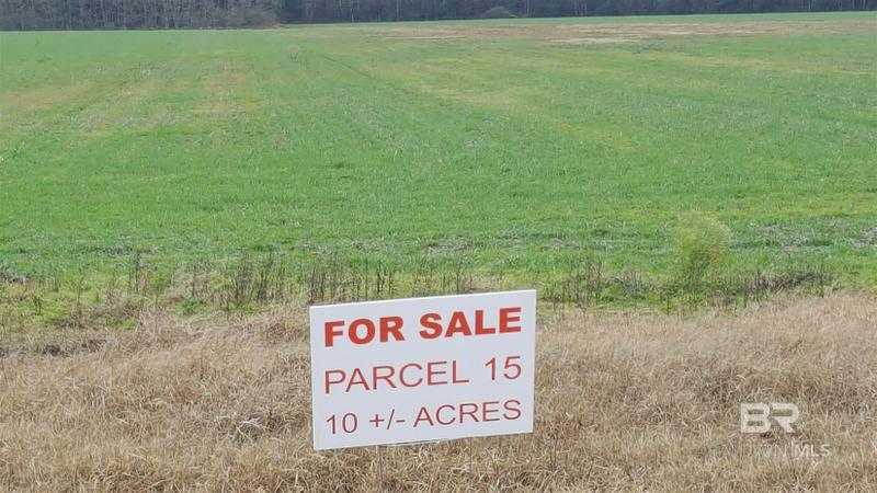 Foley, Baldwin County, AL Undeveloped Land for sale Property ID: 418160461