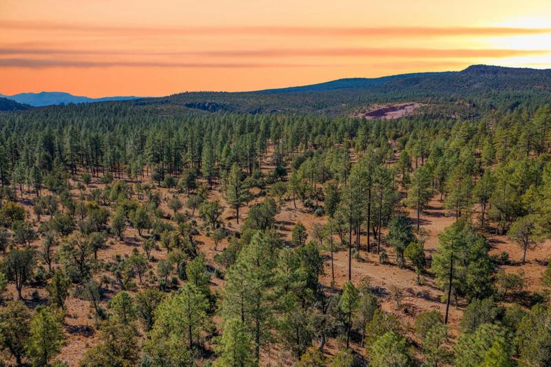 0000 FAWN 1C RIDGE, Pine, AZ 85544 Land For Sale  MLS# 88410