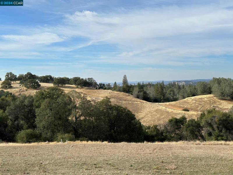 13450 HERITAGE OAKS DR, Sutter Creek, CA 95685 Unimproved Land For Sale  MLS# 41049490