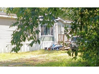 W Scotch Pine Ln for Sale