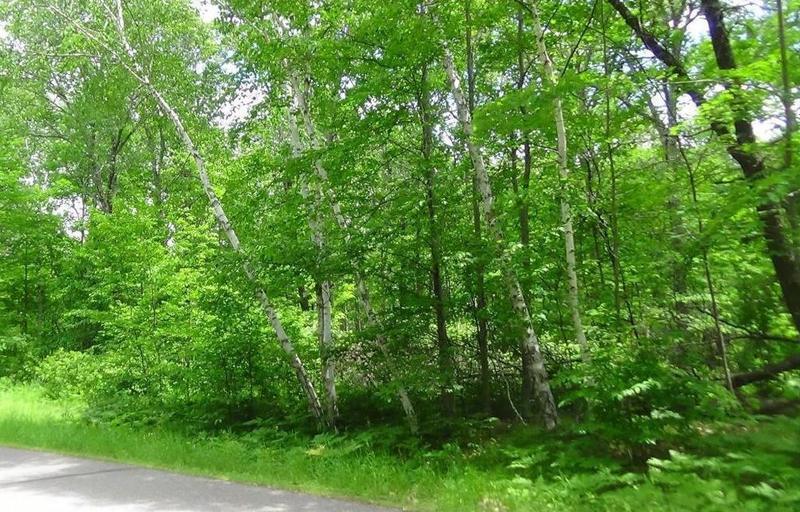xyzx Bonnie Lakes Road Rd, Crosslake, MN 56442 - MLS 6483930 for Sale