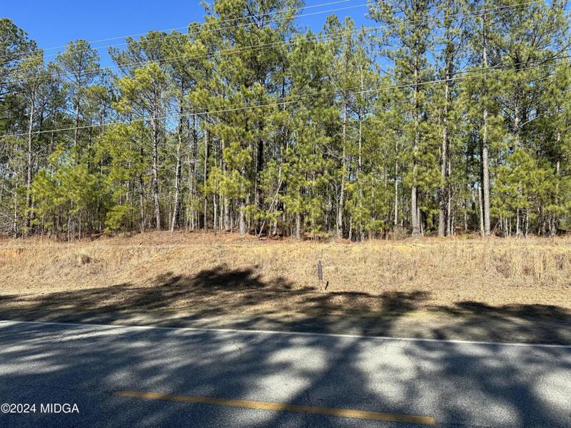 1466 PATE RD ROAD, Juliette, GA 31046 Land For Sale  MLS# 173594