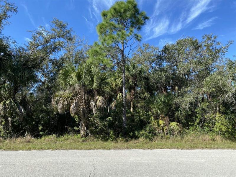 3419 JOWETT ST, PORT CHARLOTTE, FL 33948 Land For Sale  MLS# C7487042