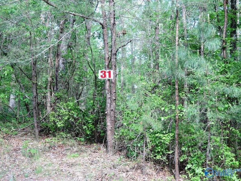 31 Harbor Loop, Jasper, AL 35504  623898121 for Sale