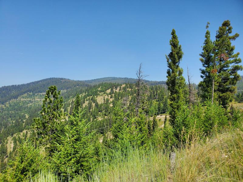 Lincoln, Lewis and Clark County, MT Recreational Property, Hunting Property for sale Property ID: 417421211